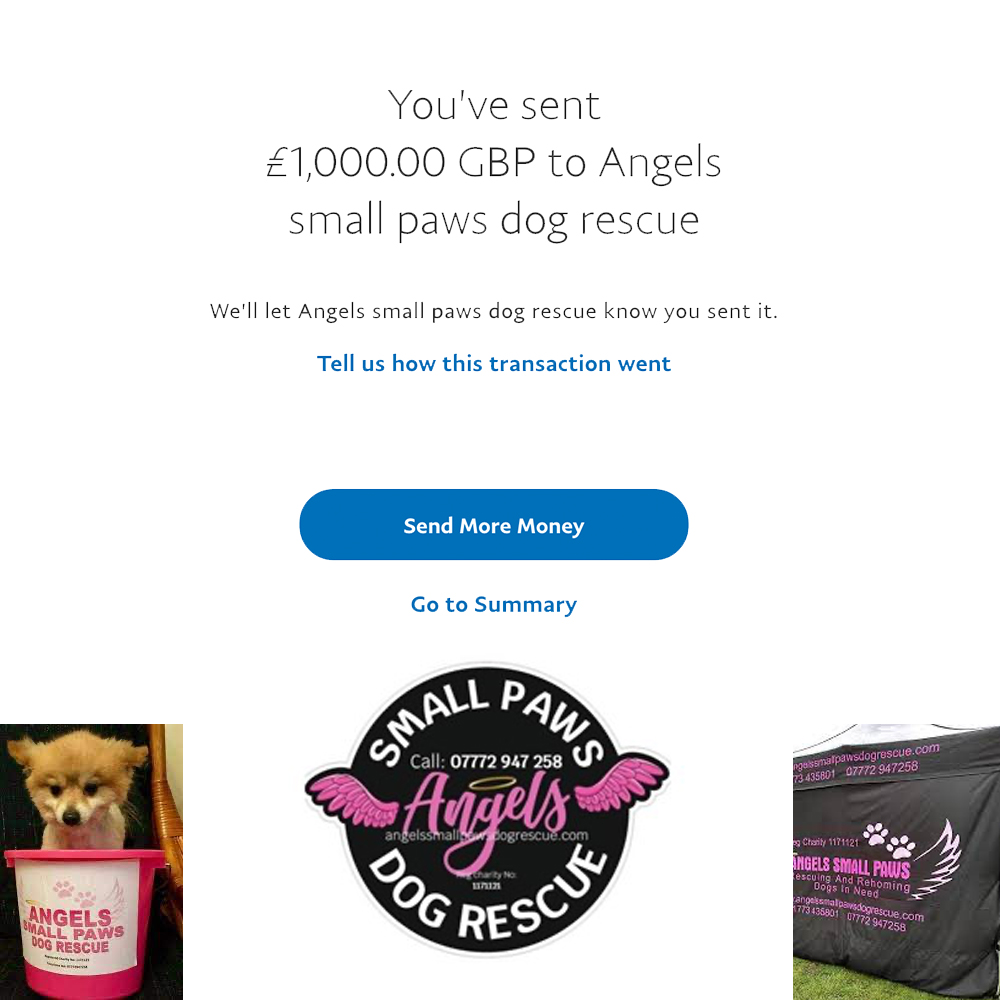 Angels small paws dogs sales for adoption