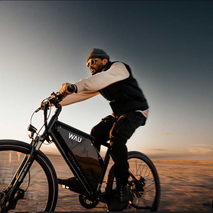 wau x electric bike