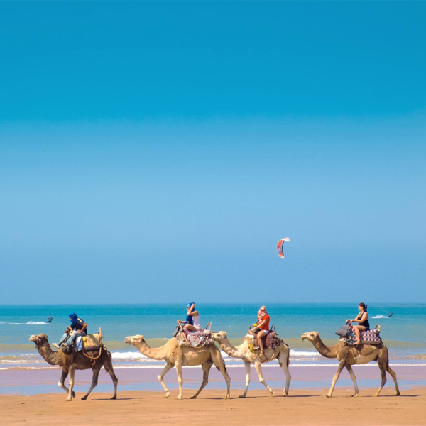 TUI ALL INC HOLIDAY 2 PAX / 7 NTS RIU PALACE TAGHAZOUT MOROCCO Rev Comps